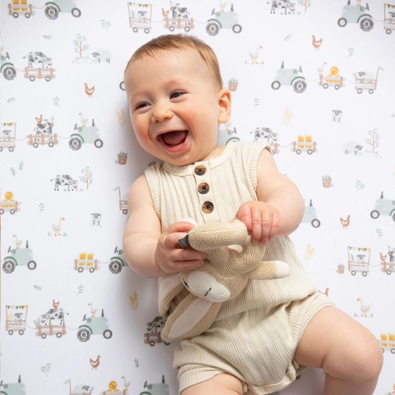 Living Textiles 2-Pack Jersey Cot Fitted Sheet image number 2